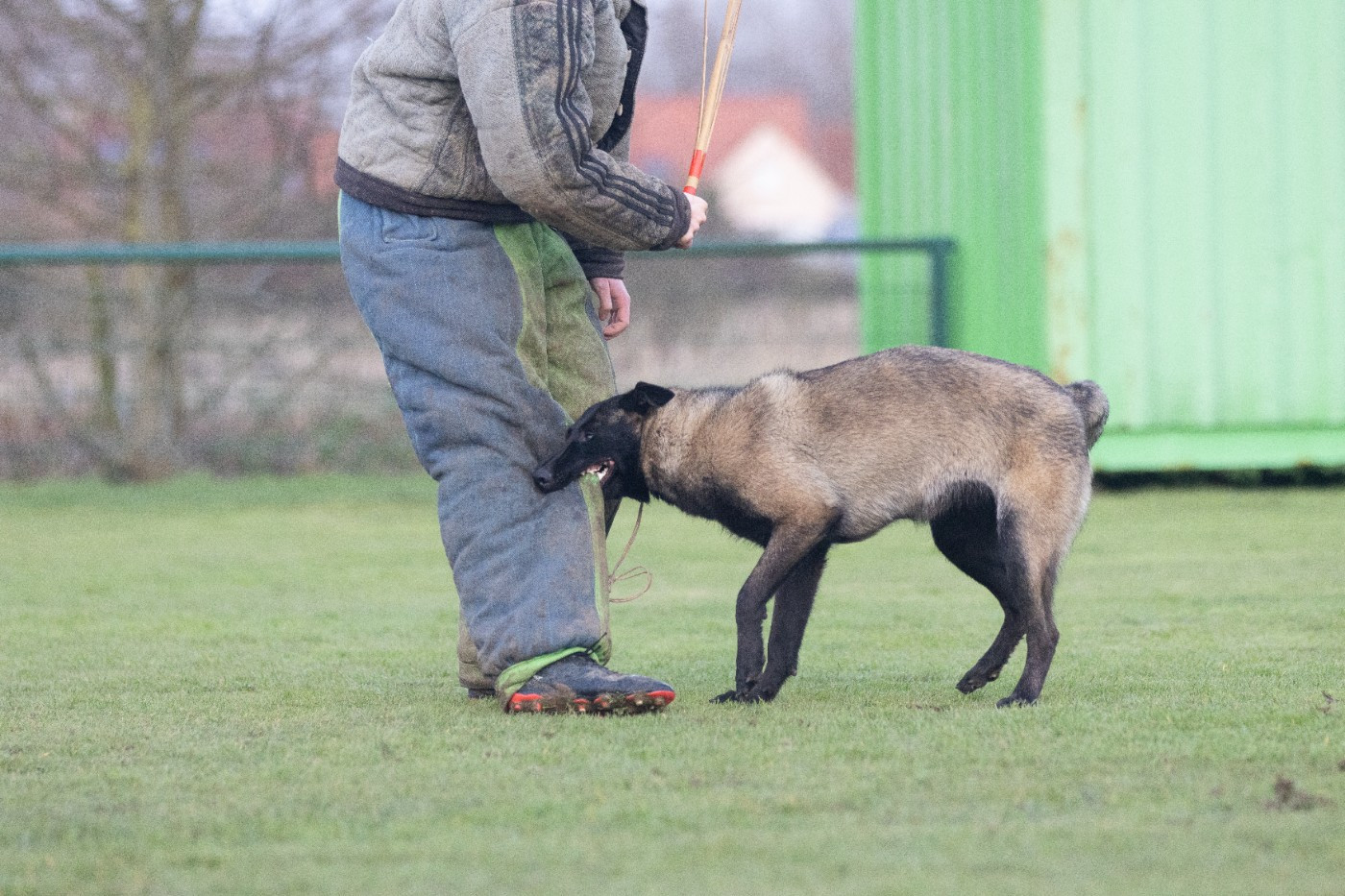 Apocalypse De L'Odyssée D'Hèra