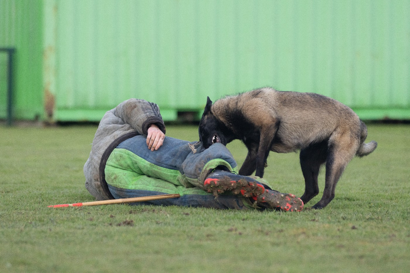 Apocalypse De L'Odyssée D'Hèra