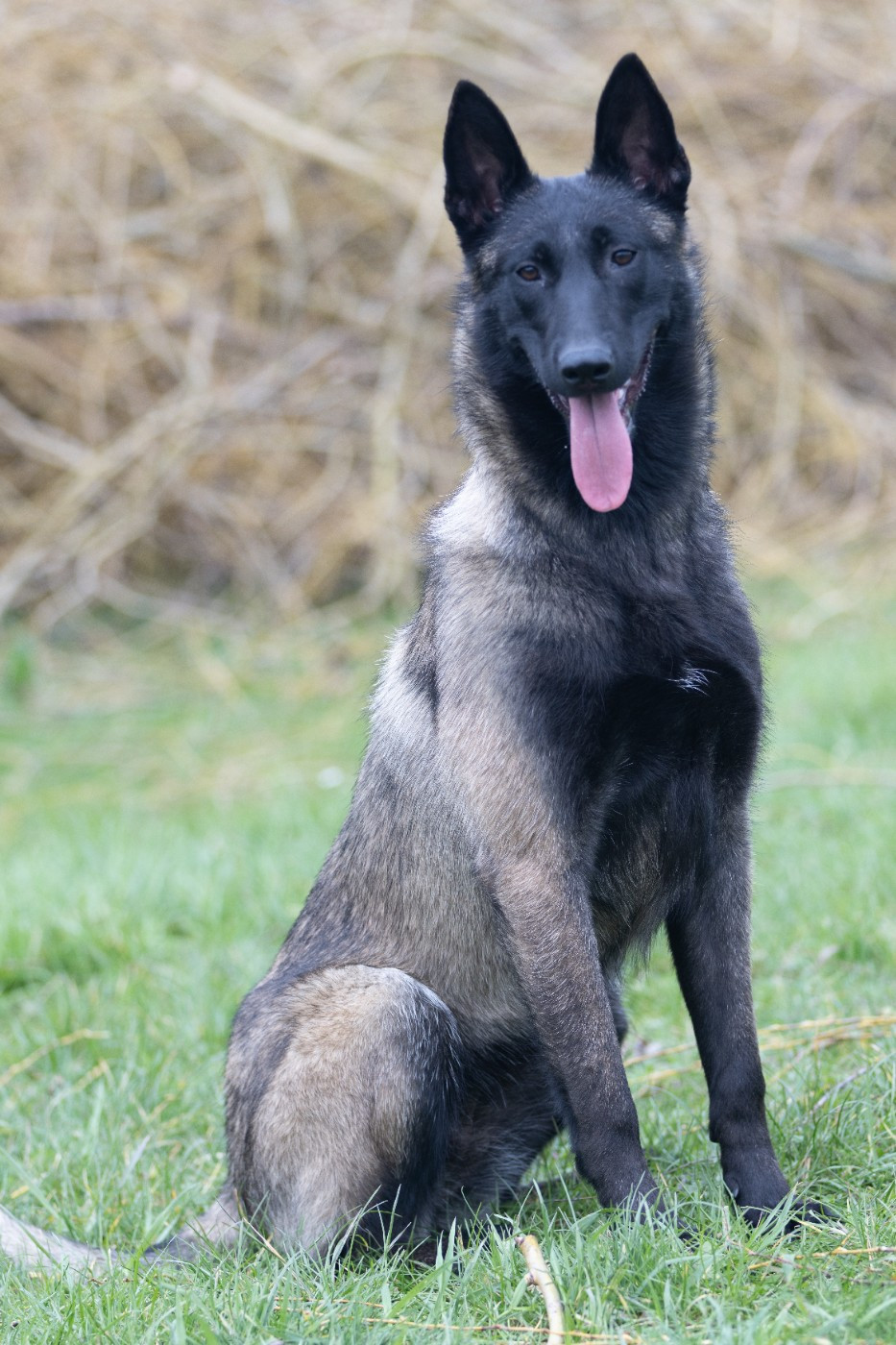 Apocalypse De L'Odyssée D'Hèra