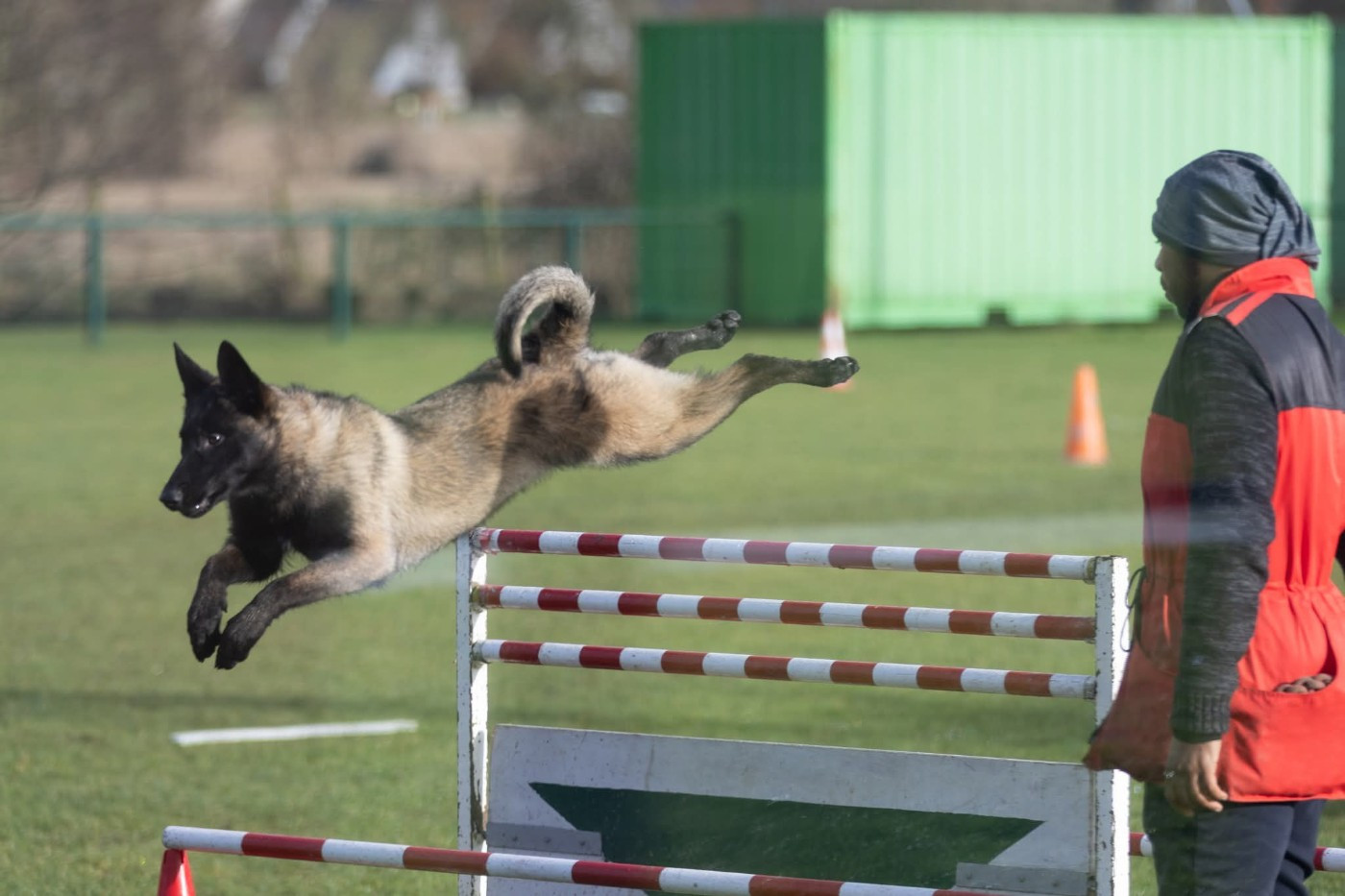Apocalypse De L'Odyssée D'Hèra