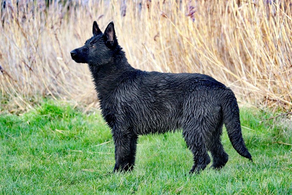 Publication : De L'Odyssée D'Hèra