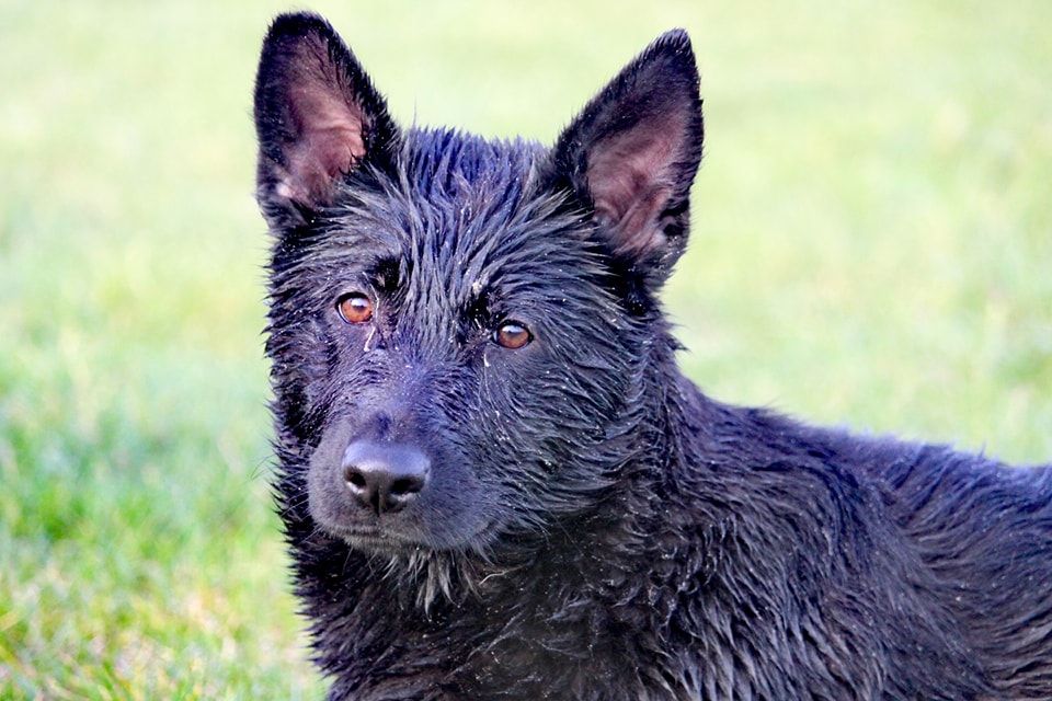 Publication : De L'Odyssée D'Hèra