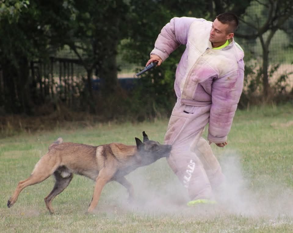 Uruk-haï De L'Odyssée D'Hèra