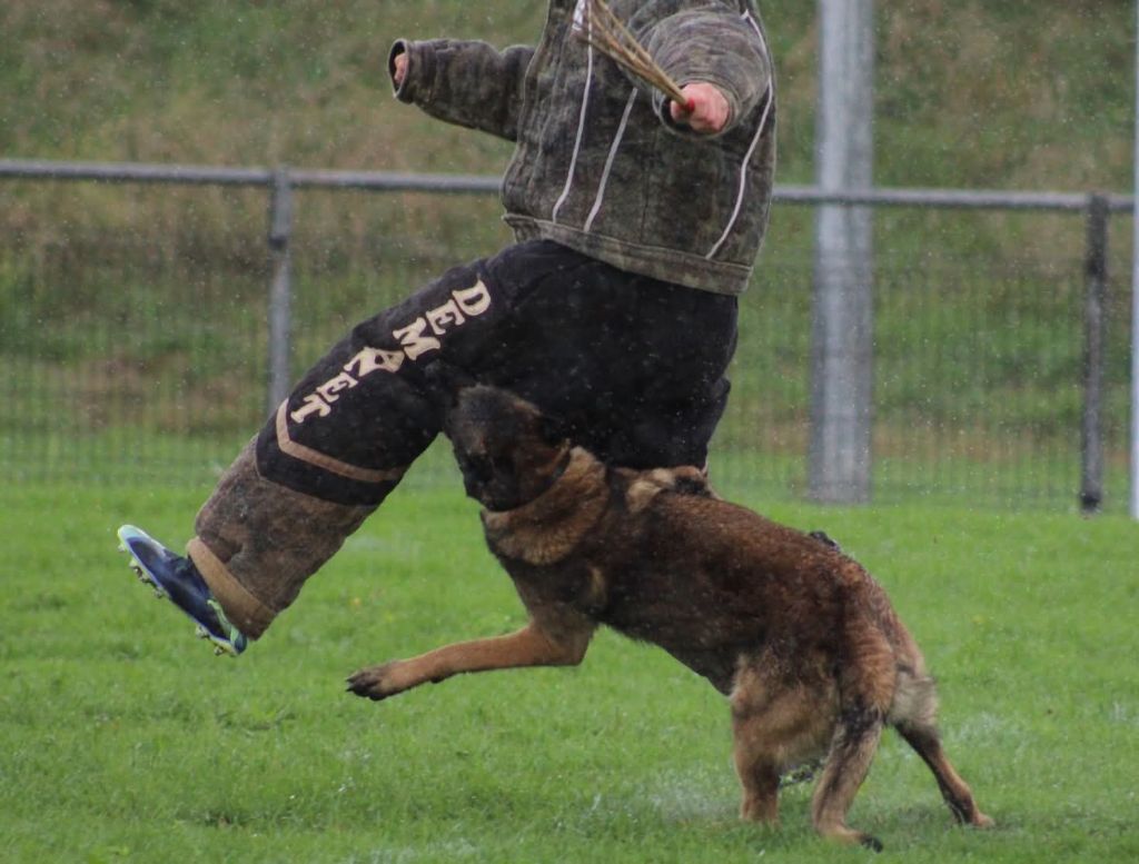 Uruk-haï De L'Odyssée D'Hèra