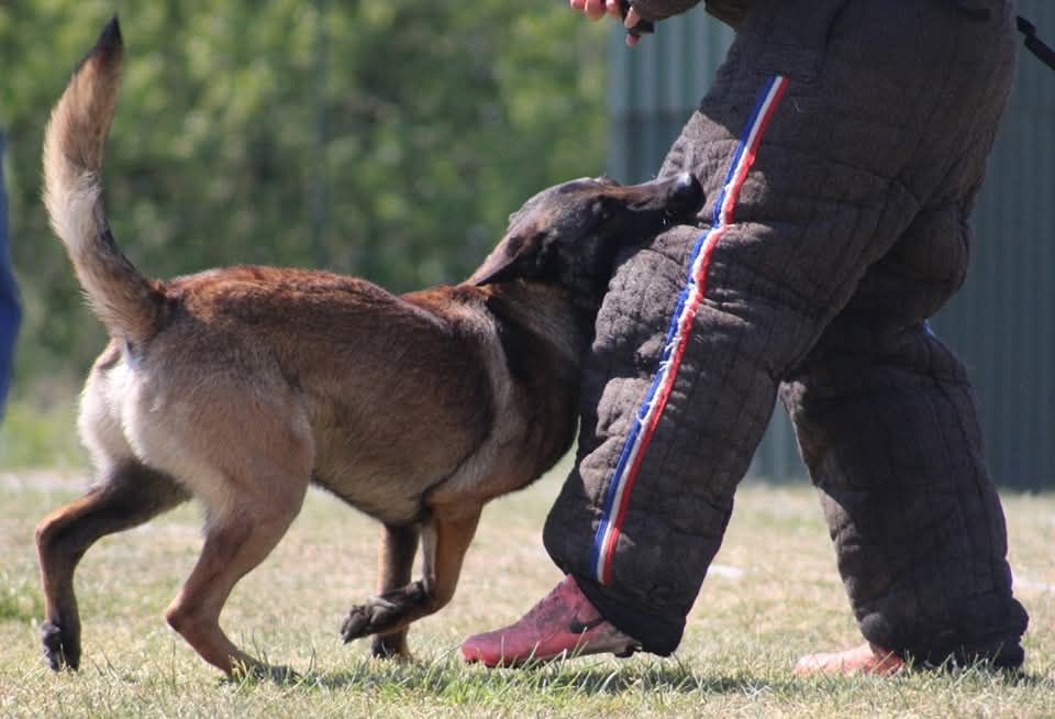 Uruk-haï De L'Odyssée D'Hèra