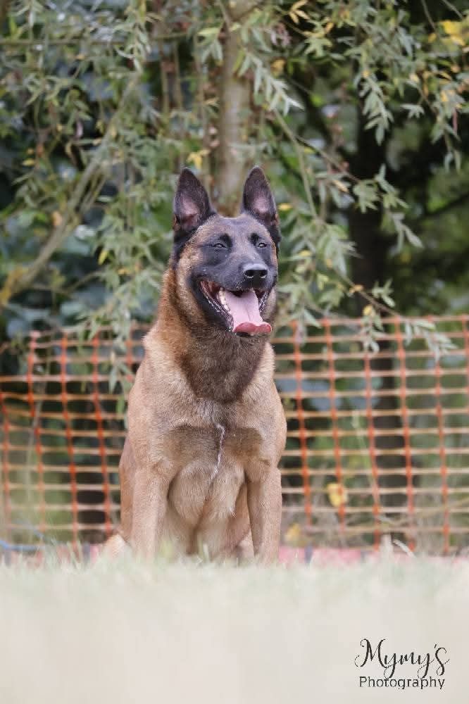 Sheythan De L'Odyssée D'Hèra