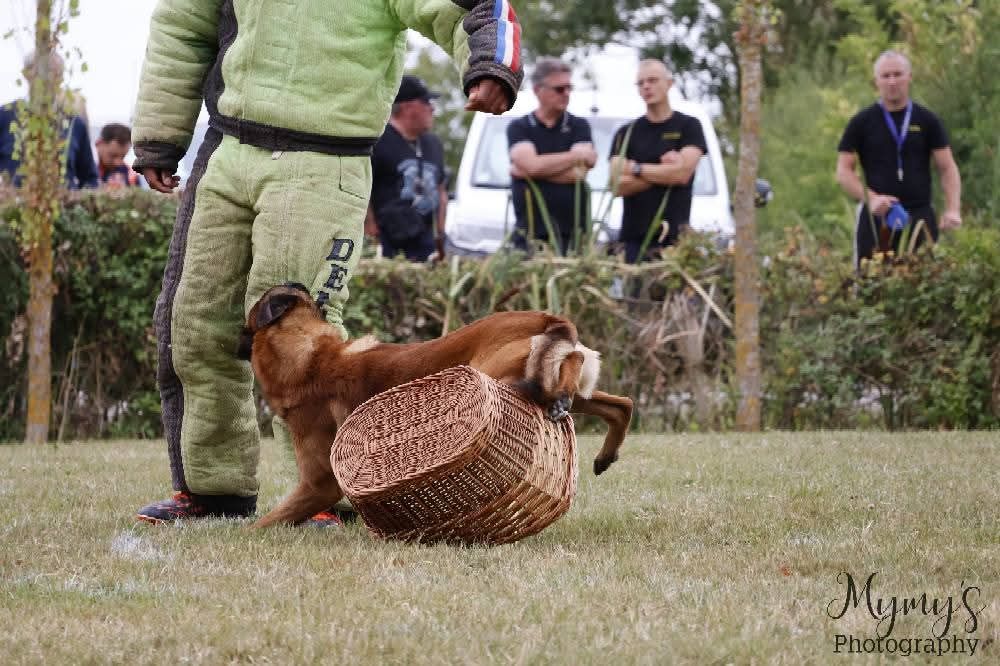 Sheythan De L'Odyssée D'Hèra