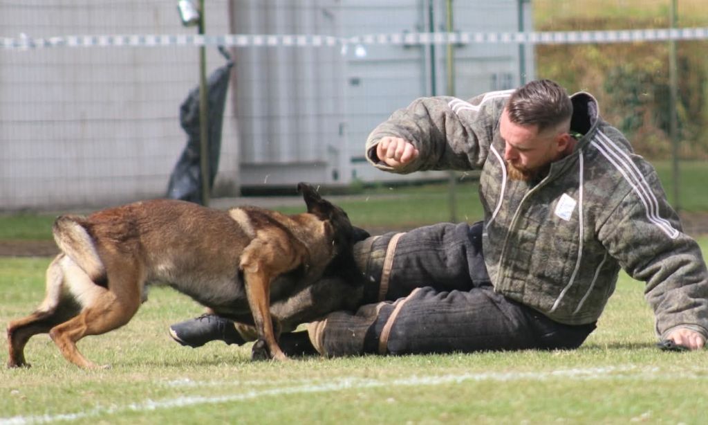 Uruk-haï De L'Odyssée D'Hèra