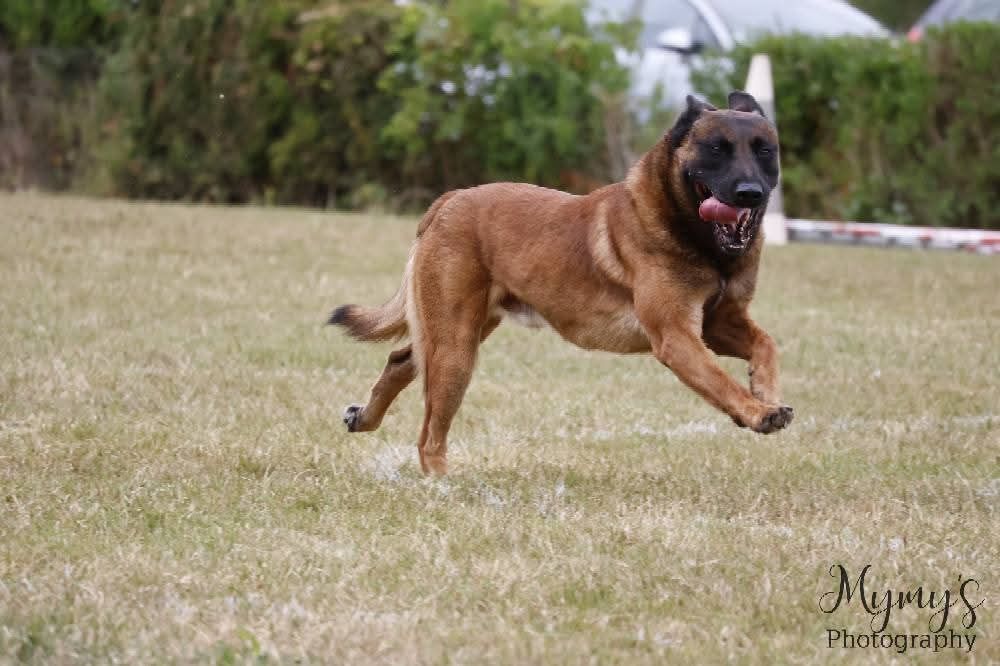 Sheythan De L'Odyssée D'Hèra