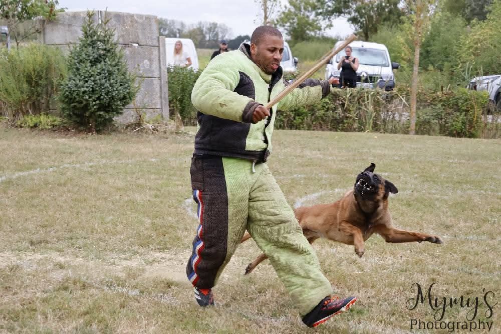 Sheythan De L'Odyssée D'Hèra