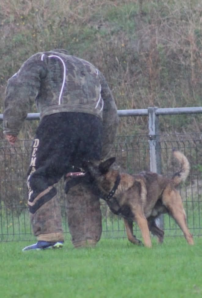 Uruk-haï De L'Odyssée D'Hèra