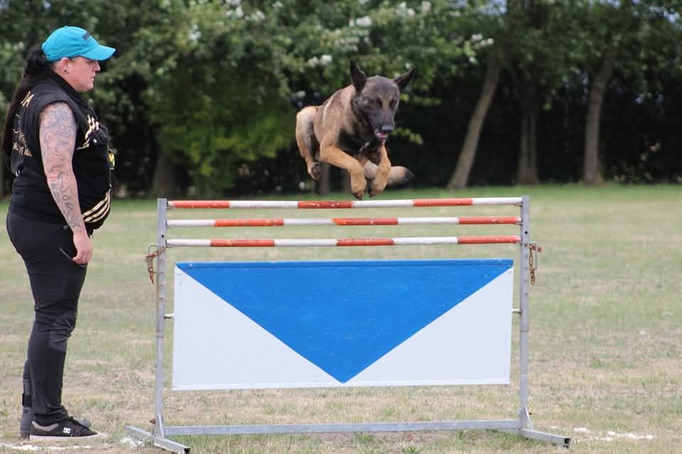 Uruk-haï De L'Odyssée D'Hèra