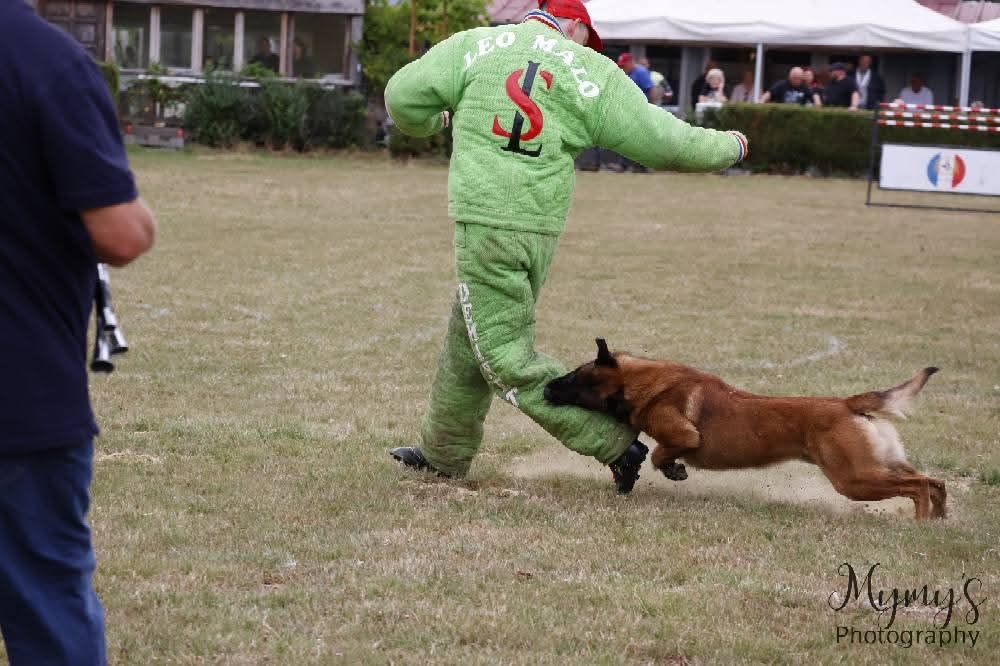 Sheythan De L'Odyssée D'Hèra
