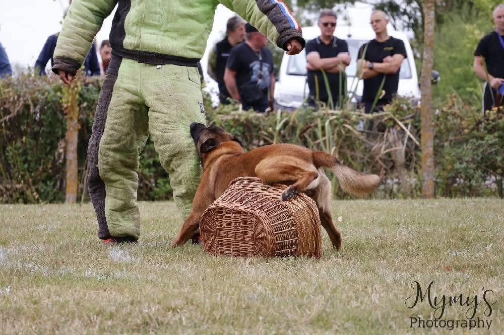 Sheythan De L'Odyssée D'Hèra