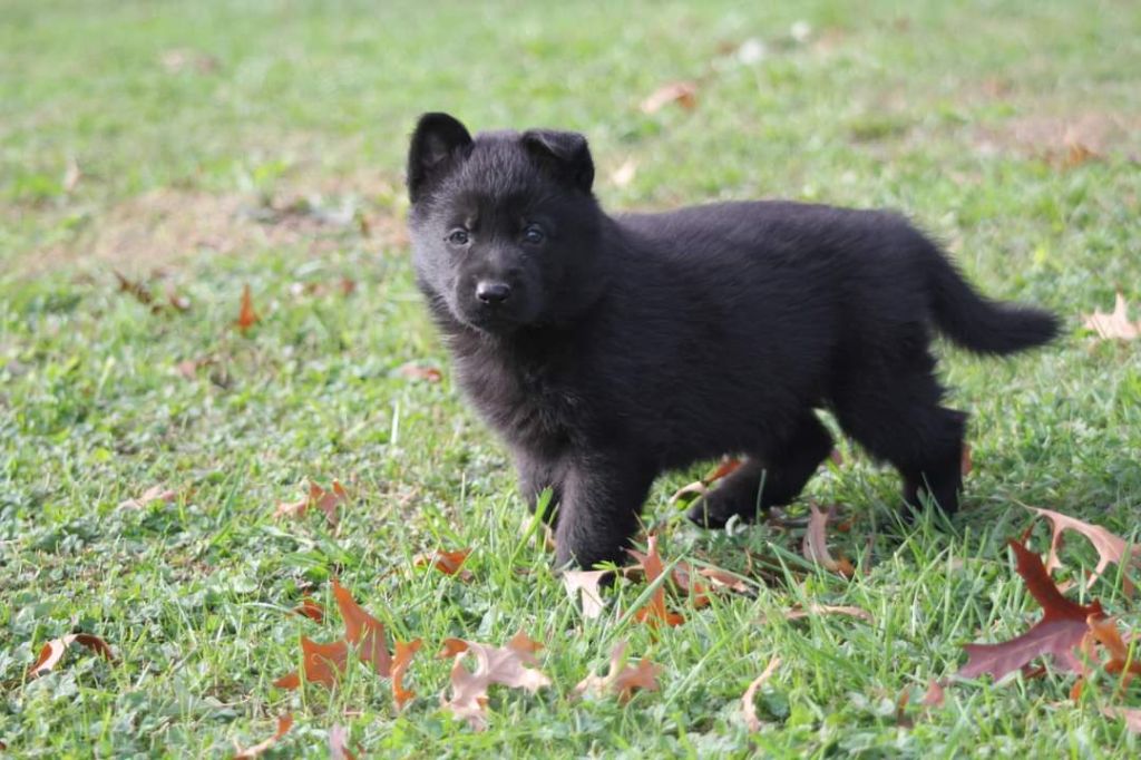 Publication : De L'Odyssée D'Hèra