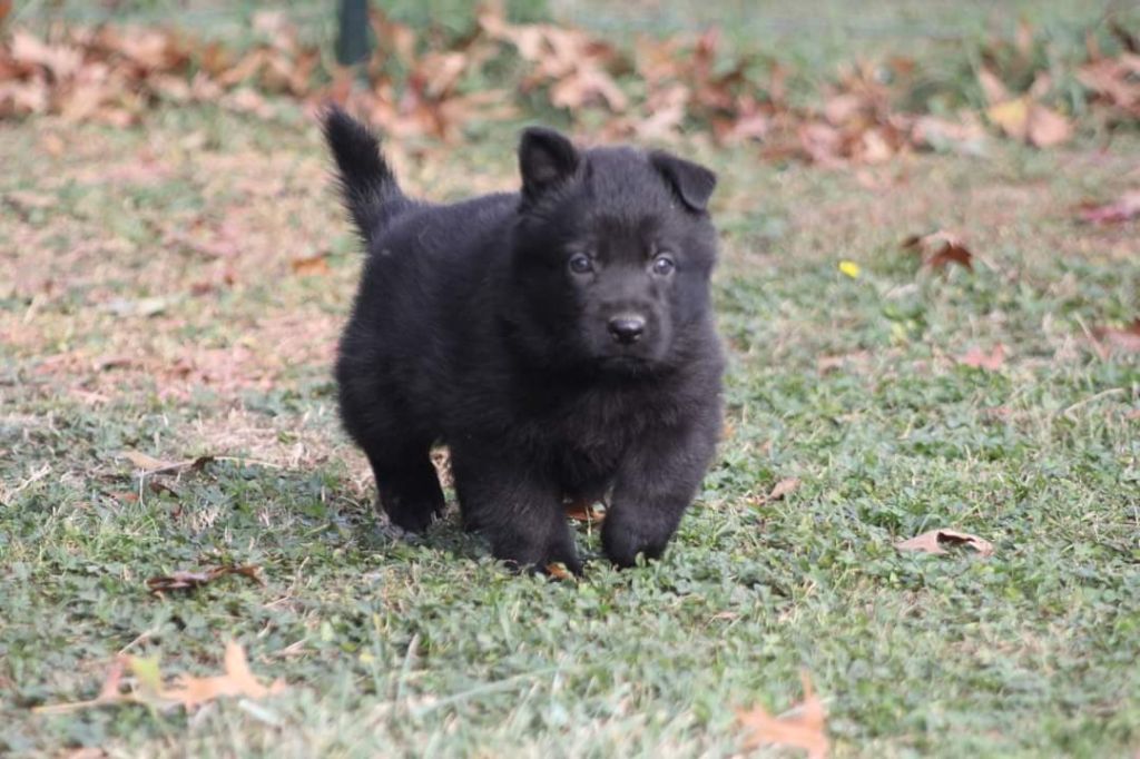 Publication : De L'Odyssée D'Hèra