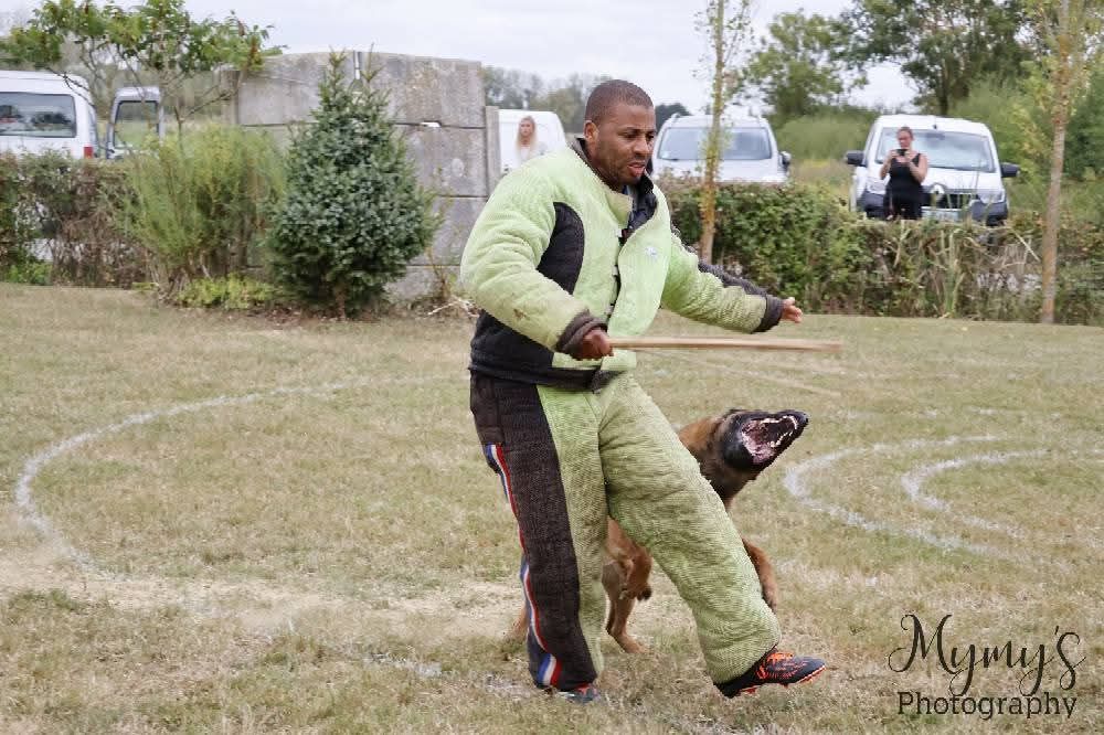 Sheythan De L'Odyssée D'Hèra