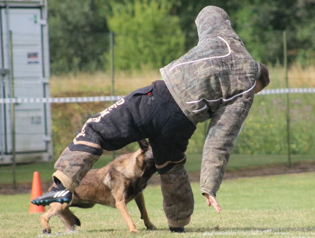Uruk-haï De L'Odyssée D'Hèra