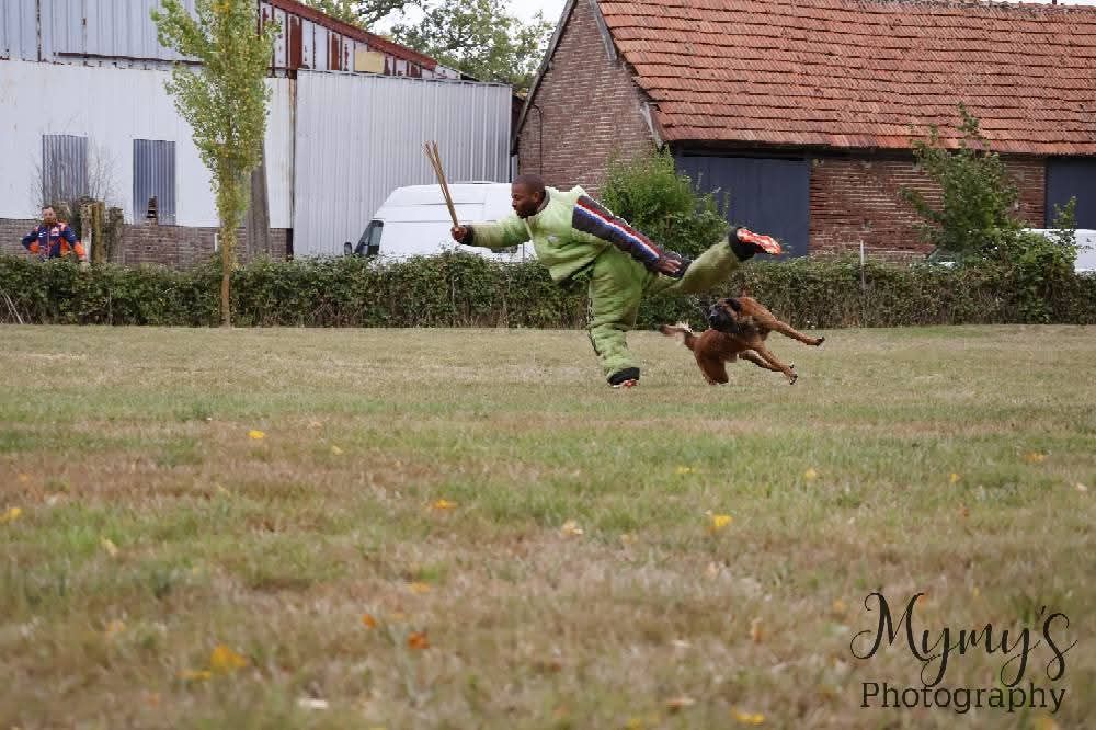 Sheythan De L'Odyssée D'Hèra