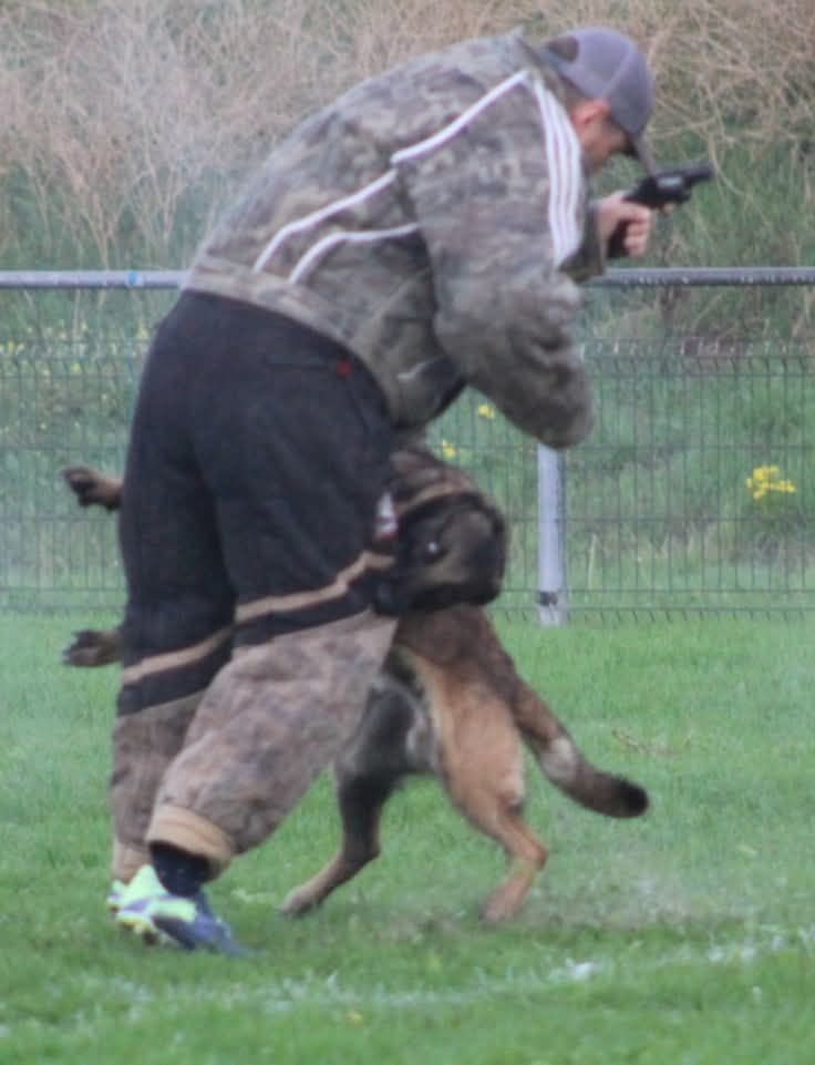 Uruk-haï De L'Odyssée D'Hèra