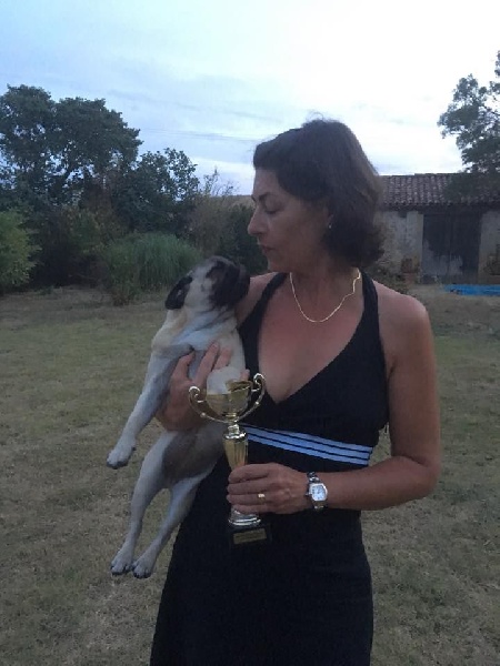 Mimosa-mathurine Du Domaine De Péliza - Très Prometteur - Meilleur Puppy