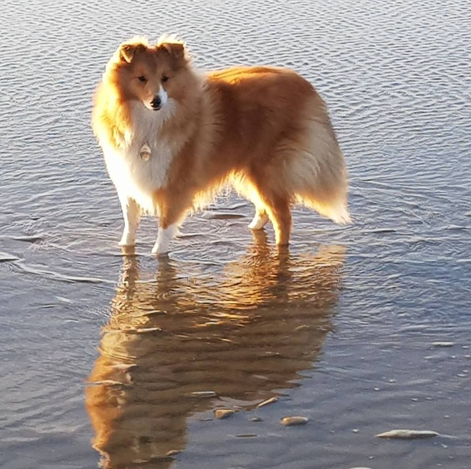 Qrazy love story Of Sweet Woodruff