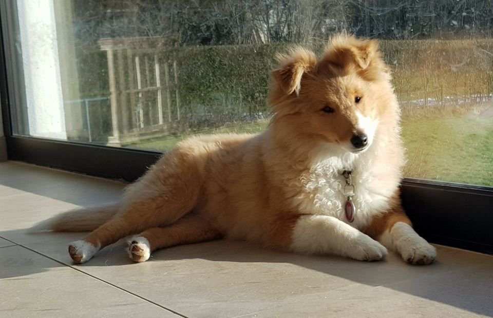 Qrazy love story Of Sweet Woodruff