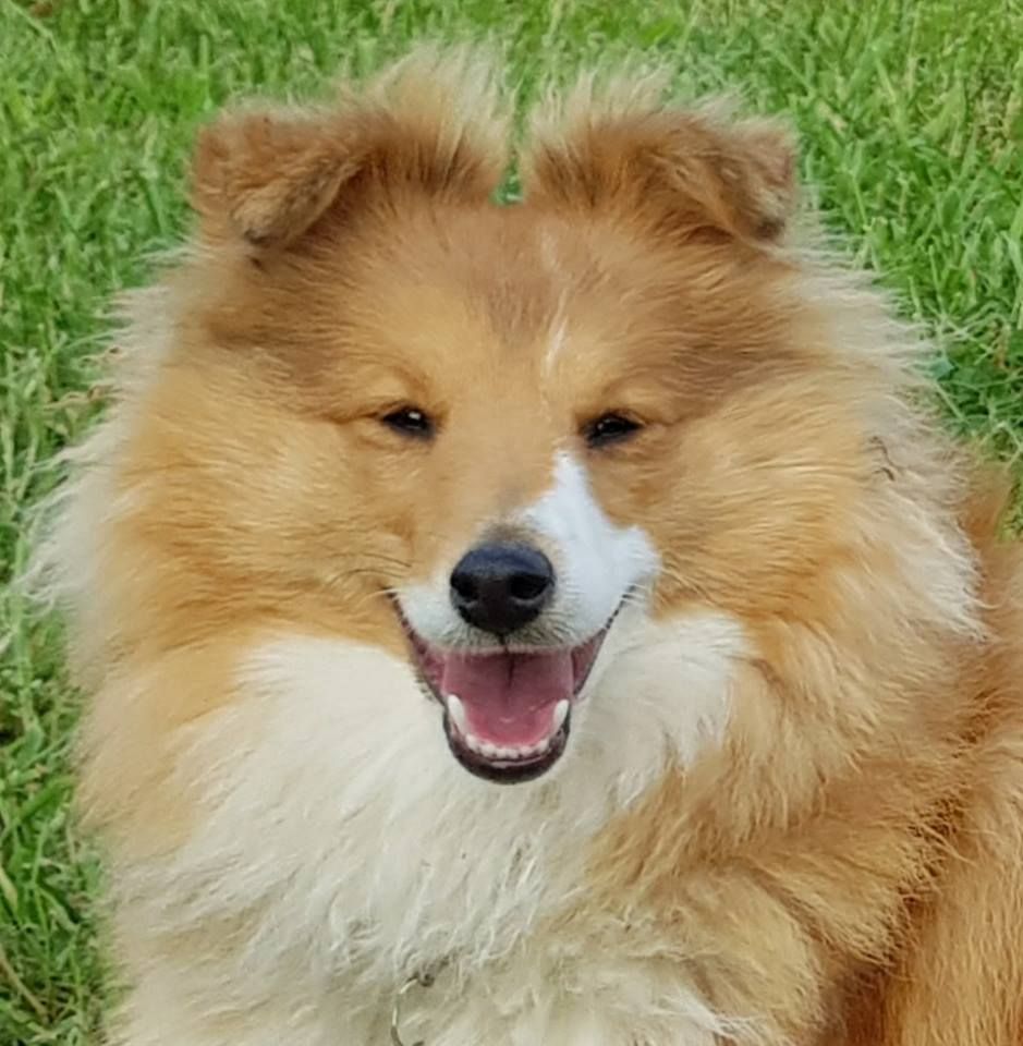 Qrazy love story Of Sweet Woodruff