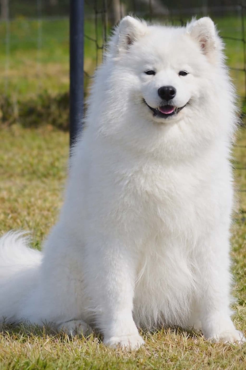 UNKA du chemin de la belle etoile