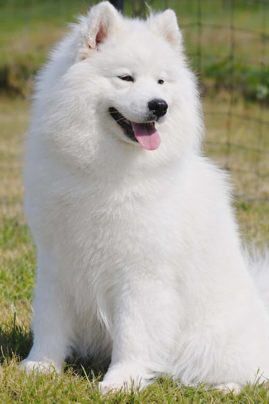 UNKA du chemin de la belle etoile