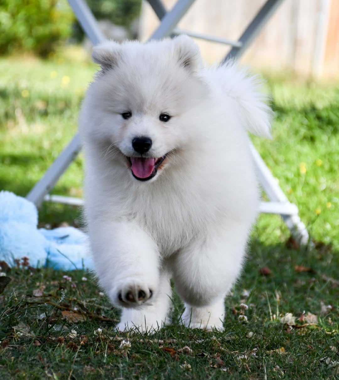 UNKA du chemin de la belle etoile
