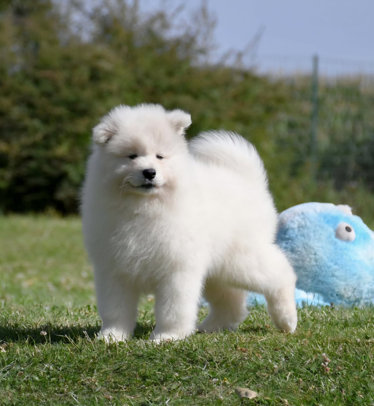 UNKA du chemin de la belle etoile
