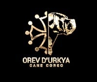 Orev D'Urkya