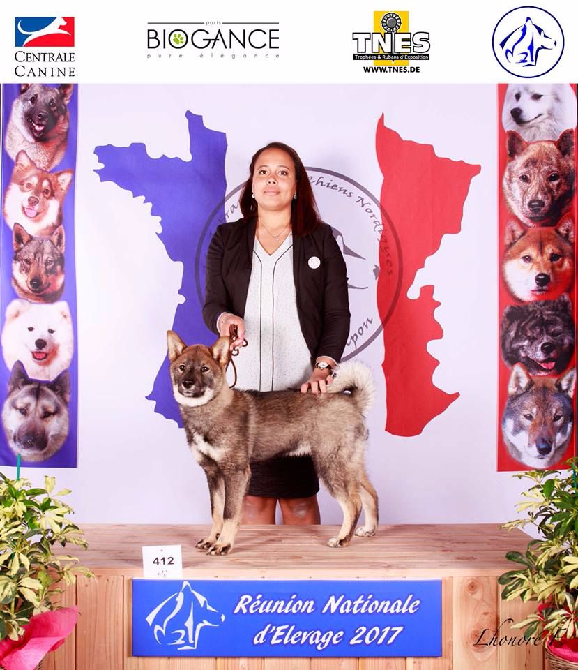 Benihana go ihoku hakuren sou - très prometteur, meilleur baby, retenu dans les 4 meilleur baby de l'exposition