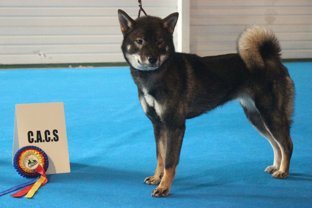 Benihana go ihoku hakuren sou - 1er EXC BOB