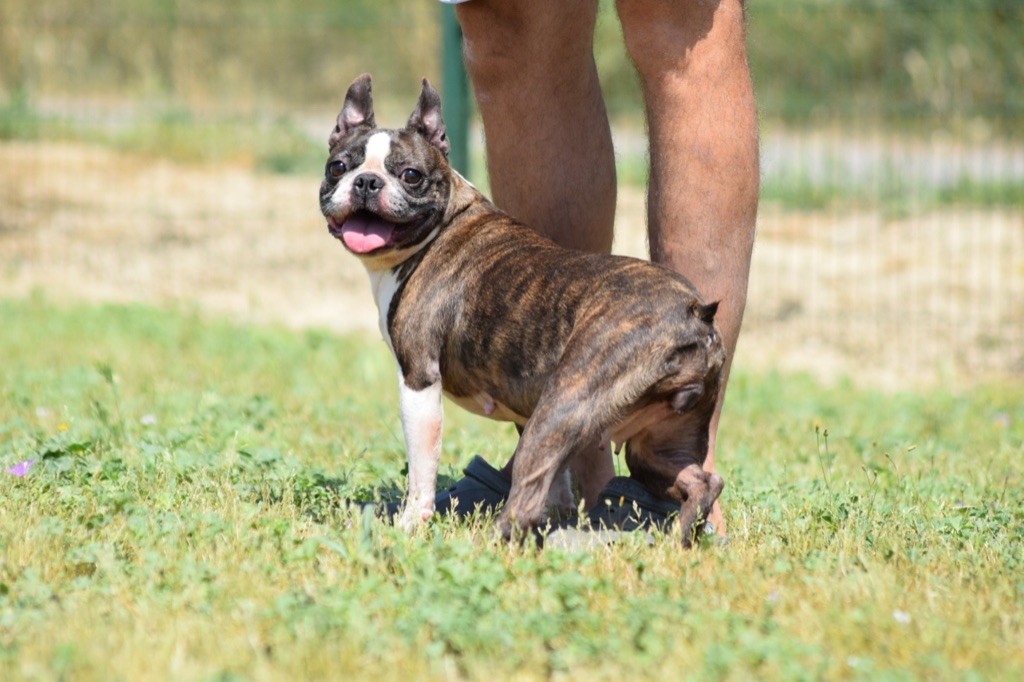 Publication : De L'esquisse Sauvage