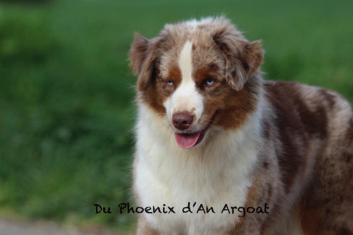 Ultra chic marble girl du temple de Palés