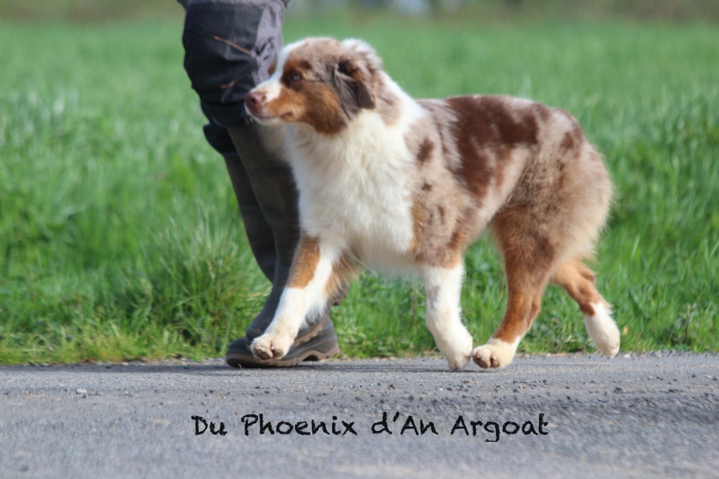 Ultra chic marble girl du temple de Palés