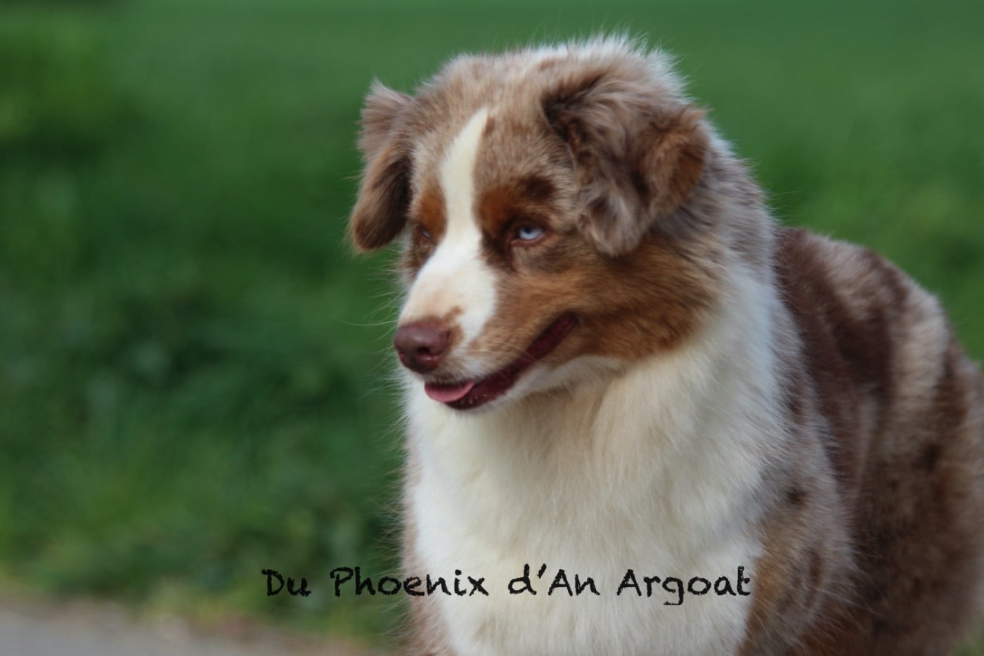 Ultra chic marble girl du temple de Palés