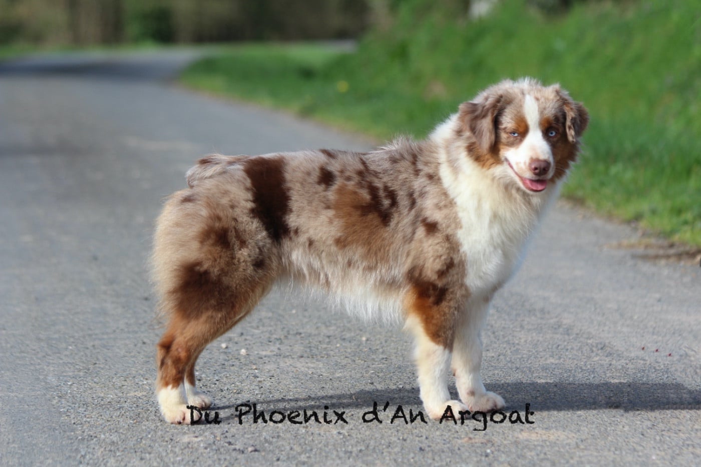 Ultra chic marble girl du temple de Palés