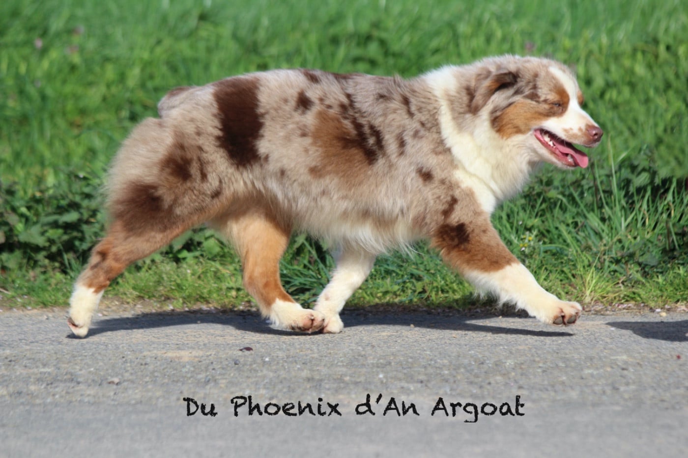 Ultra chic marble girl du temple de Palés