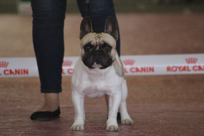 Isindar De La Flamme De Chanel - Très bon