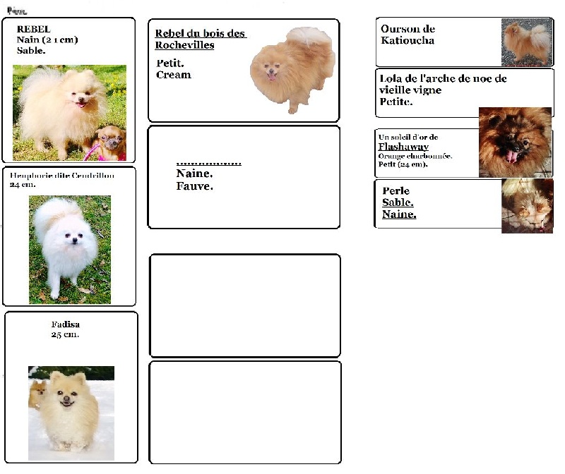 Publication : De La Beauté Française