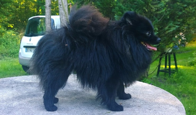 Publication : De La Beauté Française