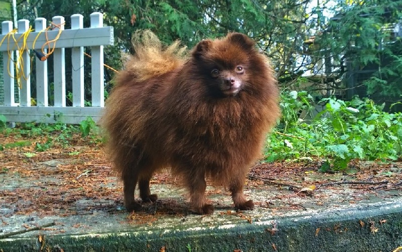Publication : De La Beauté Française