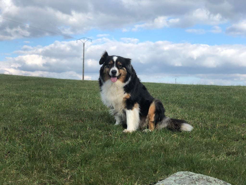 Publication : Du Domaine Du Clos De La Place