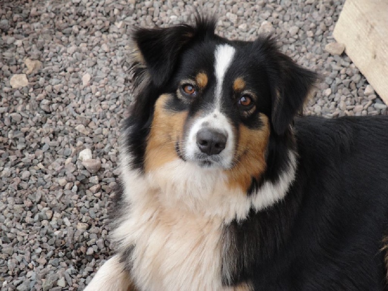 Publication : Du Domaine Du Clos De La Place