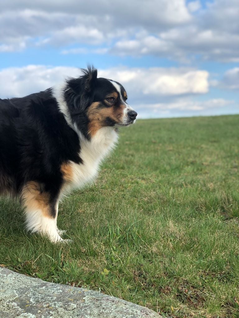 Publication : Du Domaine Du Clos De La Place