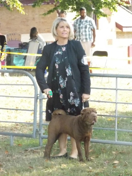 Hot sugar chocolate des Legendes Indiennes - 3 ème excellent