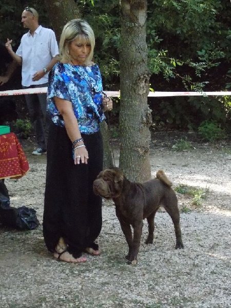 Hot sugar chocolate des Legendes Indiennes - 2 ème Excellent